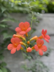 C5CDB306-D6AB-4FB3-AD01-94096E872471/L0/001