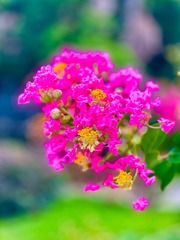2138B901-C2E8-4D79-B455-850AD97FFBC5/L0/001