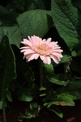 001