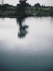 1000004519