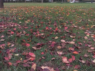 1000020801