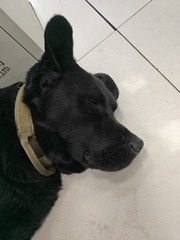 1000013645