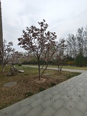1000013242