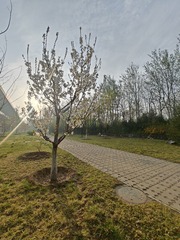 1000013374