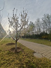 1000013375