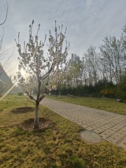 1000013371