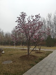 1000012764