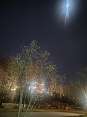 1000012572
