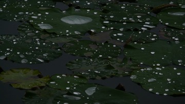 1000022679