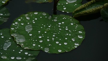 1000022677