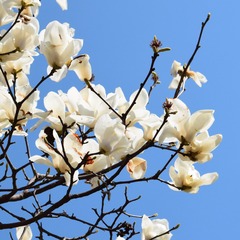 CSC_0304