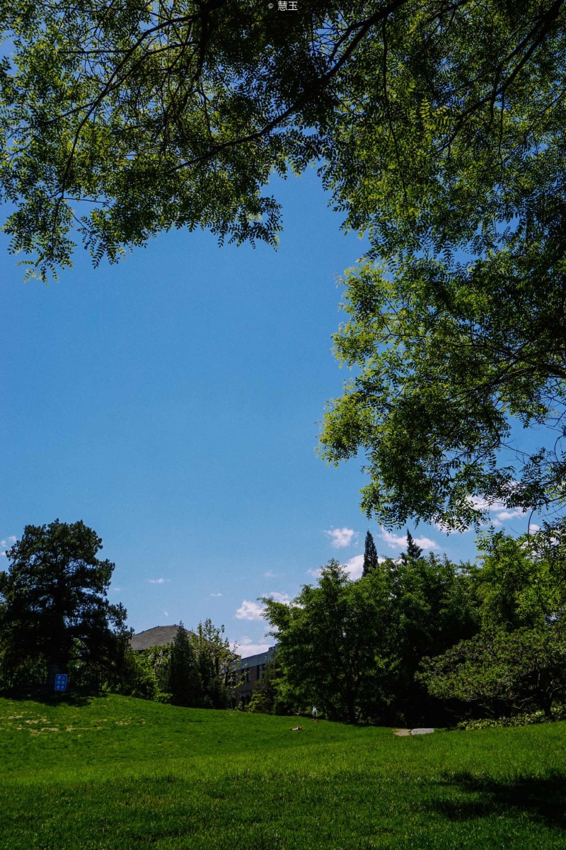 清华园·大晴天的情人坡与主楼