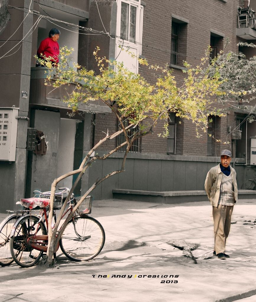 兰州的早晨<br />
兰大家属院儿一景