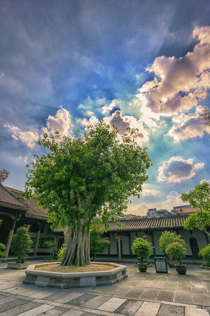 古寺菩提
