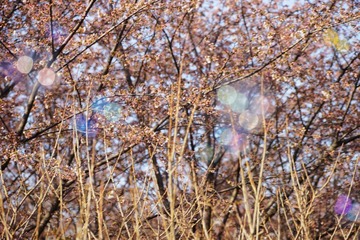 DSC03542-1600