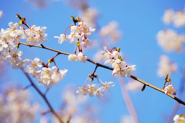 DSC03586-1600
