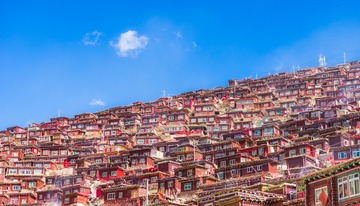 DSC09442-1920