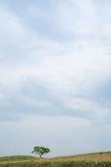 DSC02720-1920