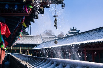 来场像样的雪吧~