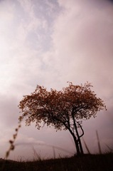 DSC01862.jpg