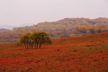DSC01915.jpg
