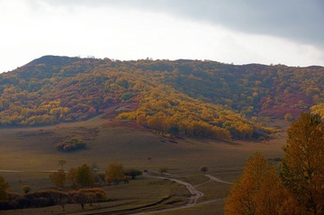 DSC02063.jpg
