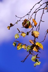 DSC02557.jpg