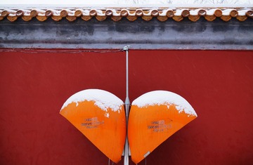 DSC05213-z.jpg
