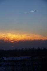 DSC05394.jpg
