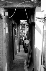 DSC05637.jpg