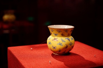 DSC05817.jpg