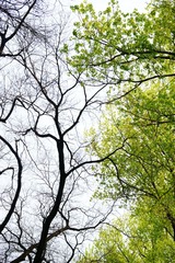 DSC09095.jpg