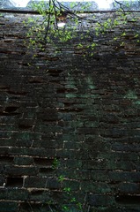 DSC06852.jpg