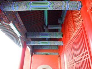 DSCN6882
