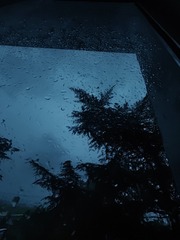 1000100800