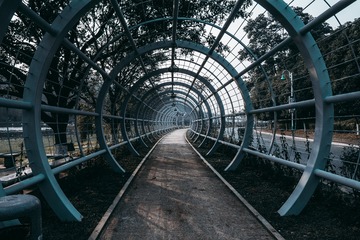 59950