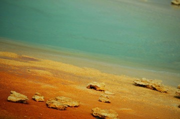 DSC_0232.jpg