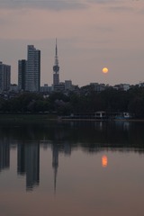 16316