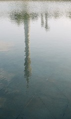 1000016504