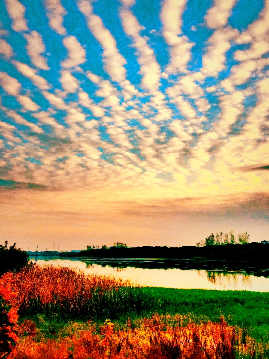 郊野风光2020拍摄于湖北武汉