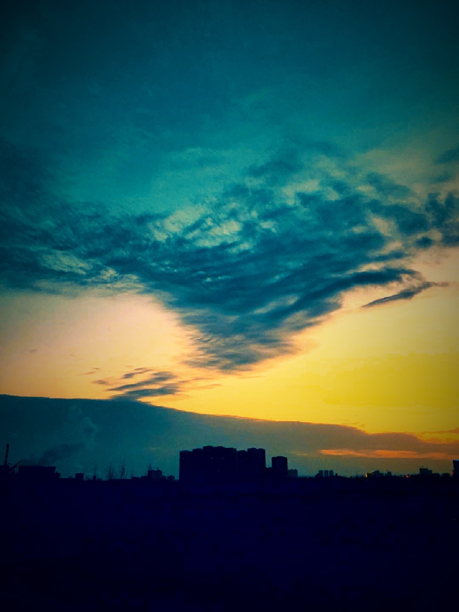 「残年暮景」残年暮景猜一动物