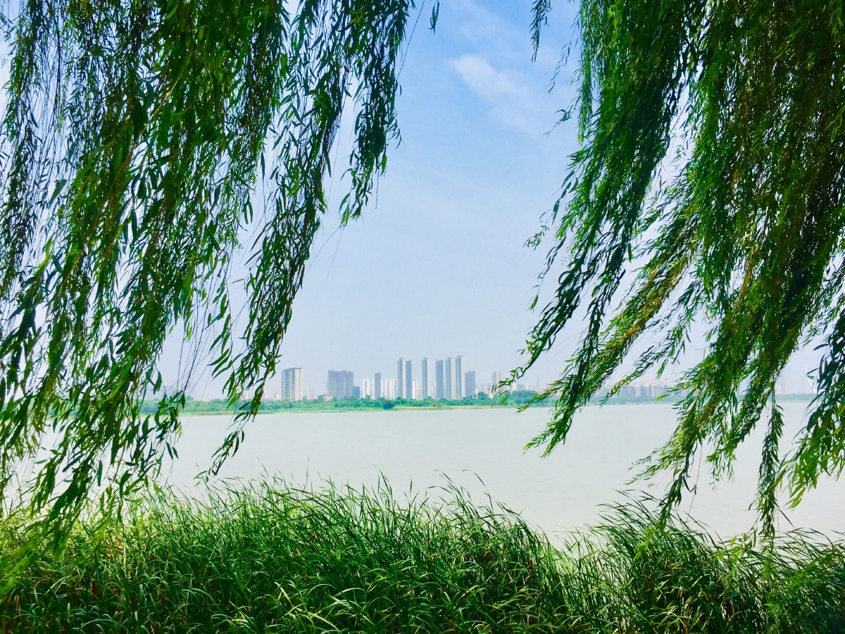 武汉市国家城市湿地公园金银湖摄影图片集锦