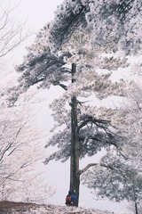 001