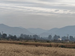 1000022928