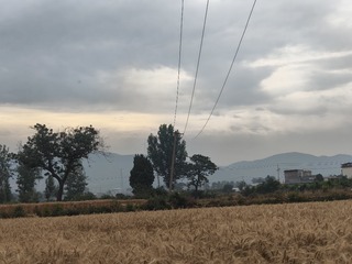 1000022927