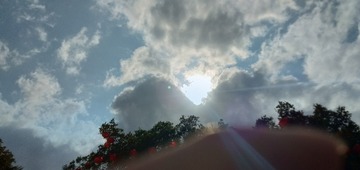 1004204