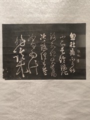 1000006113