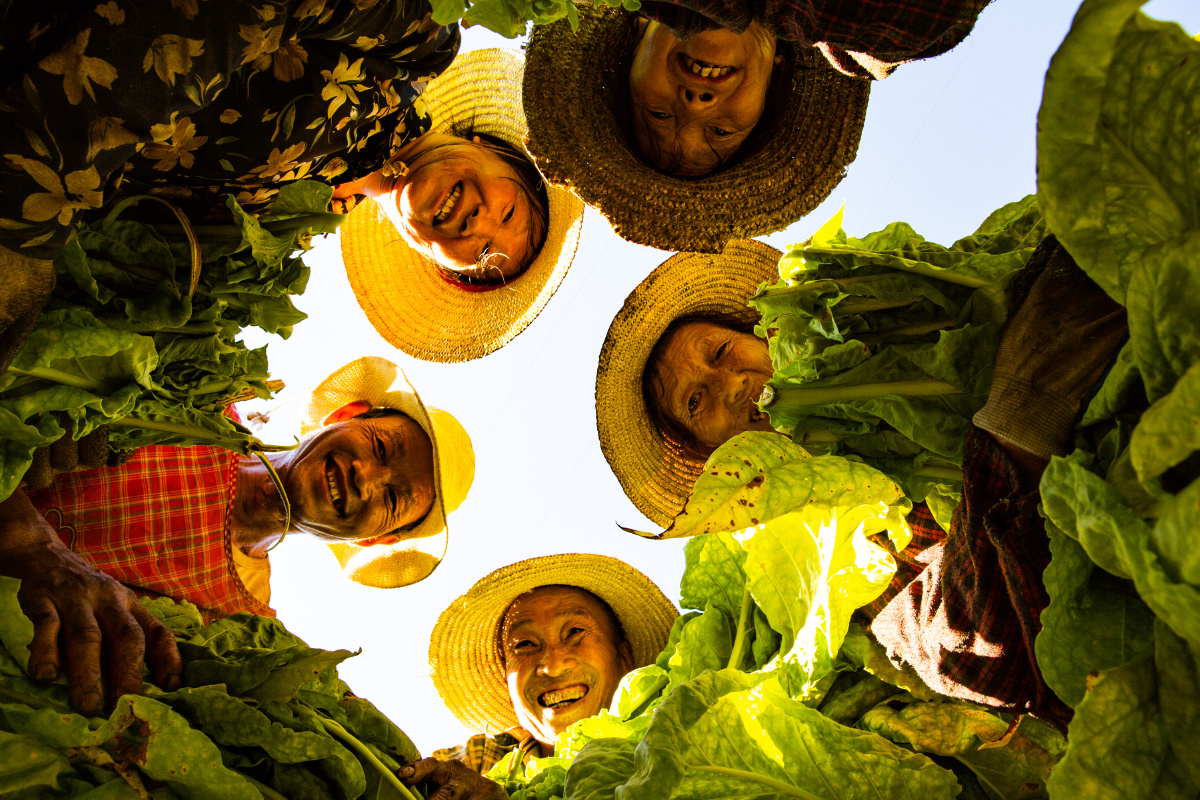 烟农的幸福笑脸 2018.9.于湖北宜昌秭归县磨坪乡龙潭坪村.王罡摄