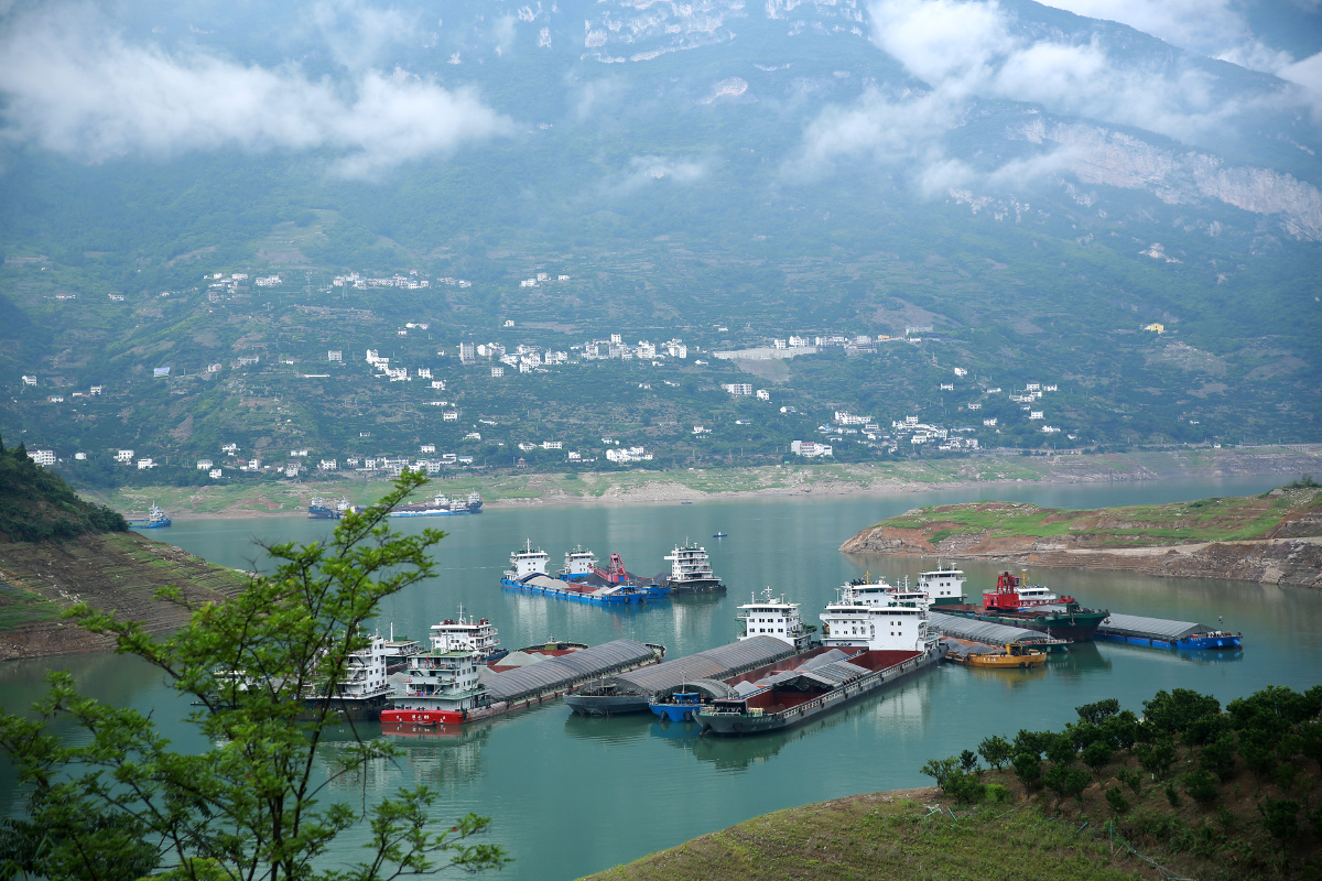 青青的新滩:2020.6.11.于湖北宜昌秭归县屈原镇.王罡摄