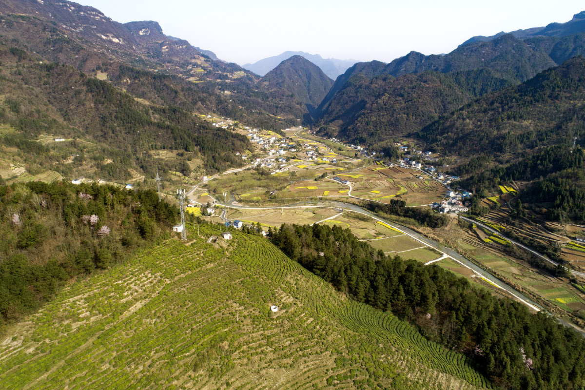 3月25日,在秭归县九畹溪镇石柱土家族村,土家